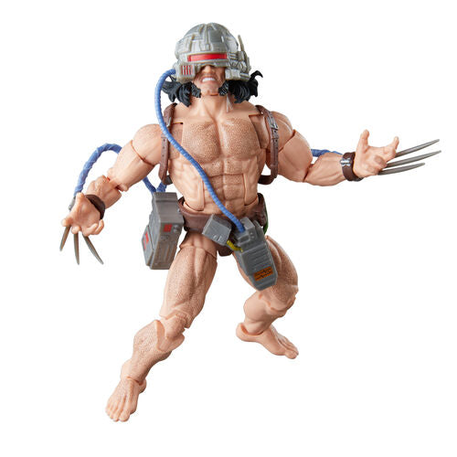 Marvel Legends Series – Wolverine (Weapon X)